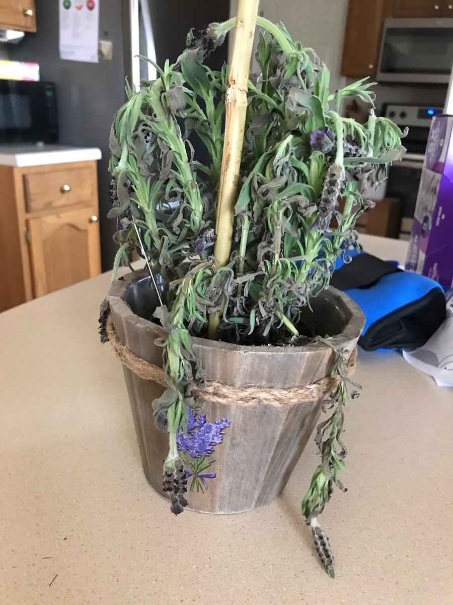 Chris Mertens tweet media