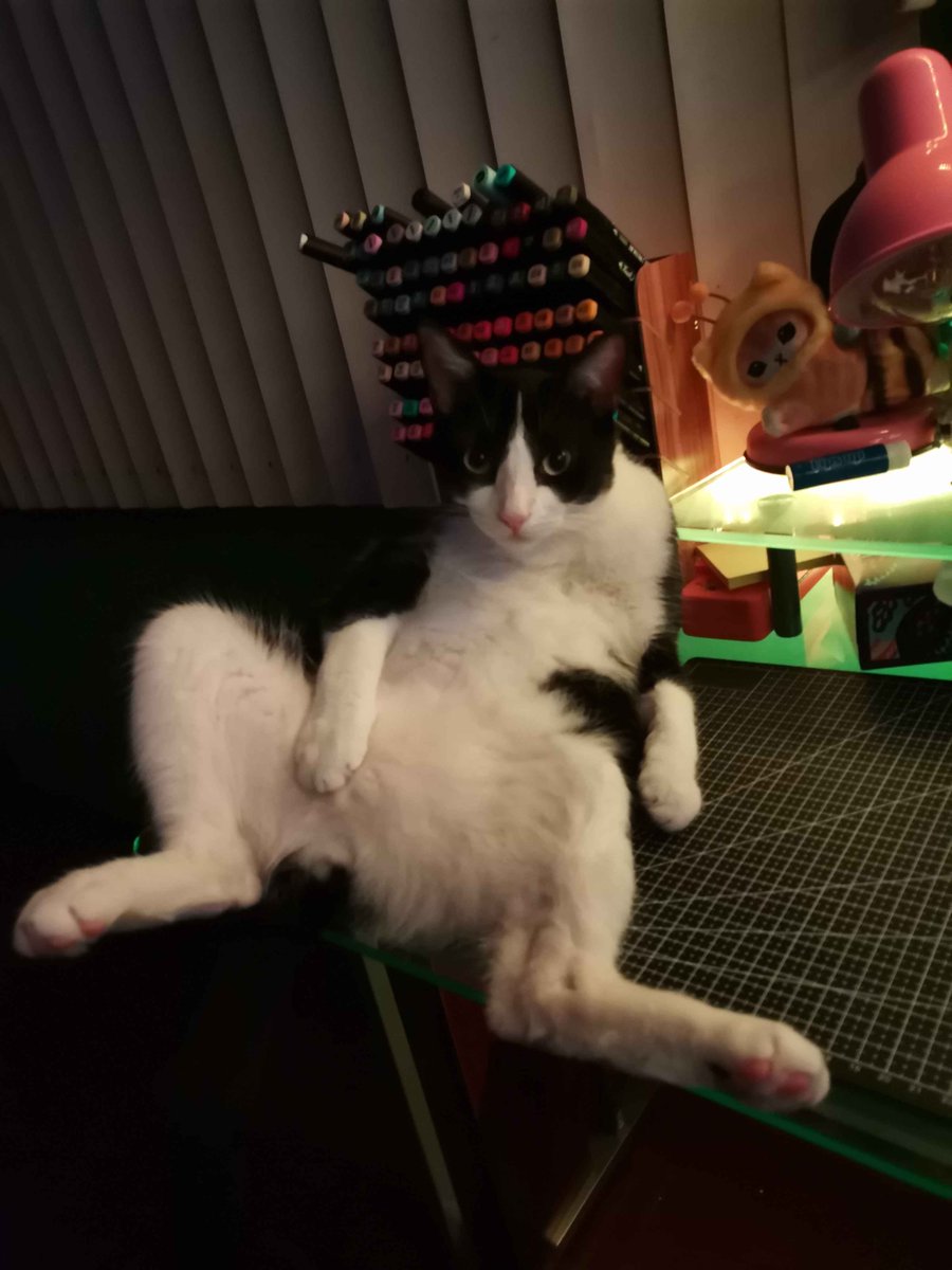 🌵✨Noir Stars +NOROI+✨🌵🔞 tweet media