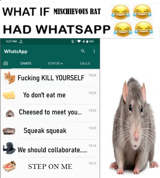 Mischievous rat (@aglabab) on Twitter photo 