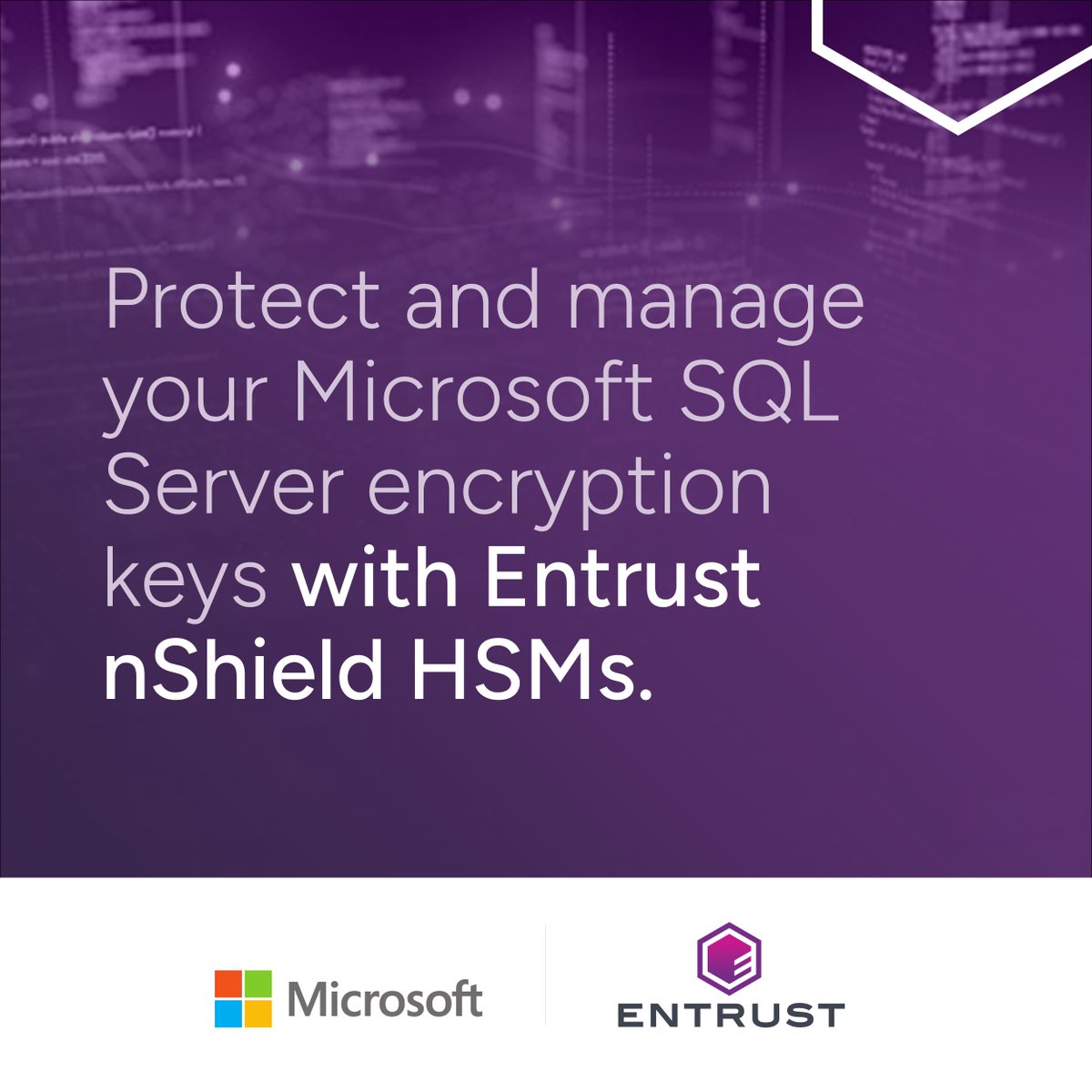 Where are you storing your encryption keys? Discover why it’s a best practice to protect your Microsoft SQL Server keys within hardware security modules. Learn more: bit.ly/44S81Pv