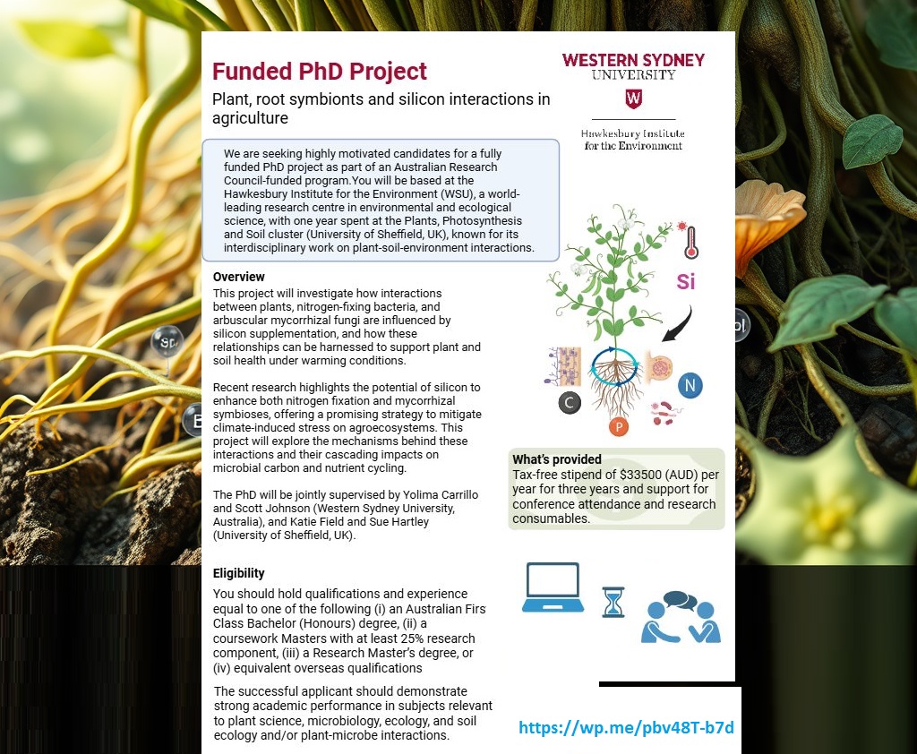 🌱 Fully Funded PhD Opportunity | Plant, Root Symbionts &amp; Silicon Interactions in Agriculture, Australia, See details at: wp.me/pbv48T-b7d