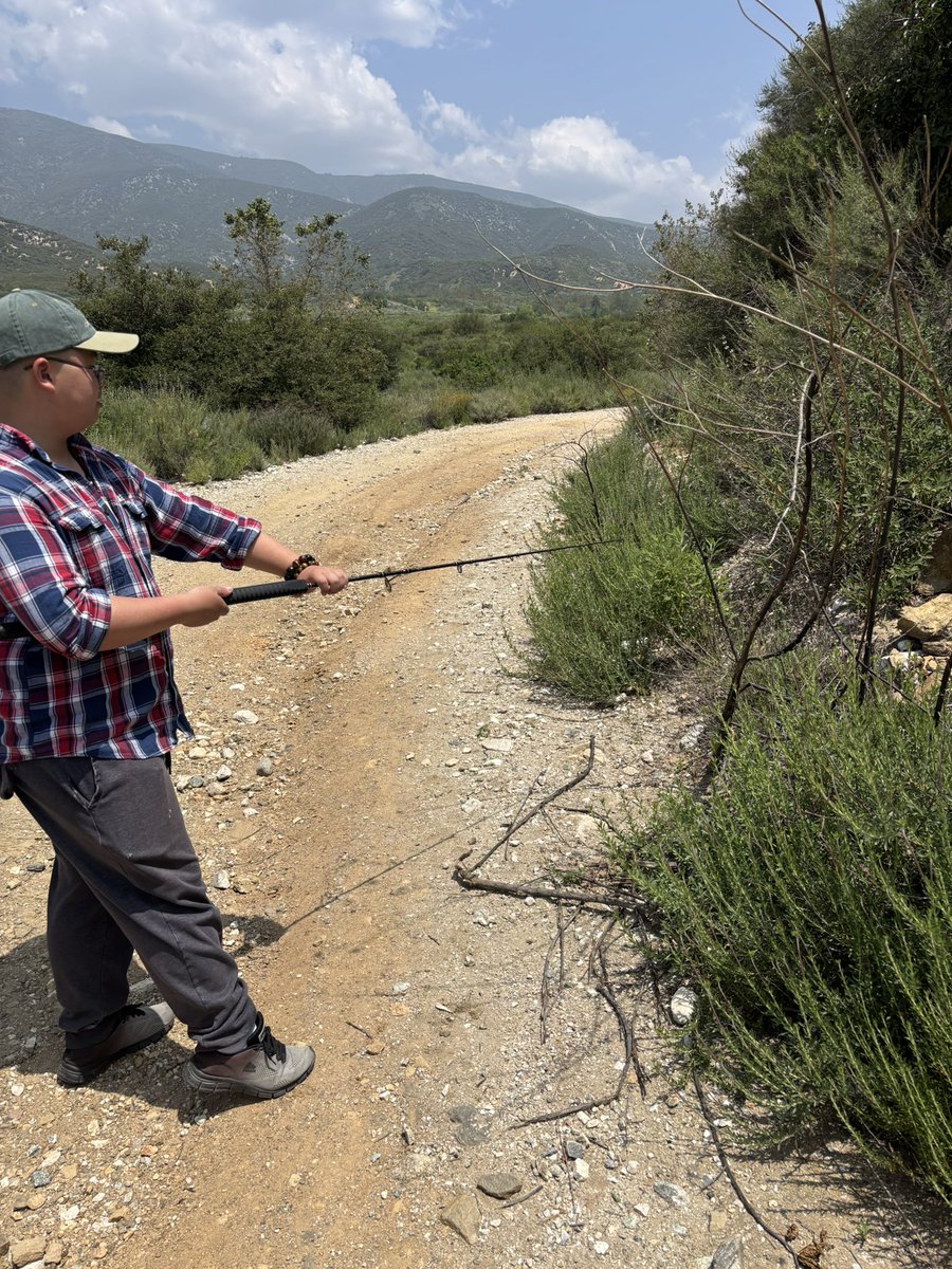 Bree Putman 🐍🦎🏘🔥 tweet media