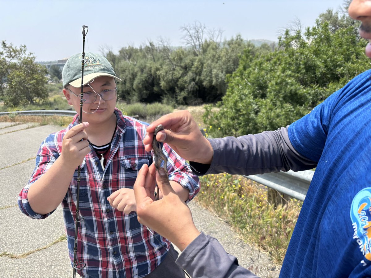 Bree Putman 🐍🦎🏘🔥 tweet media