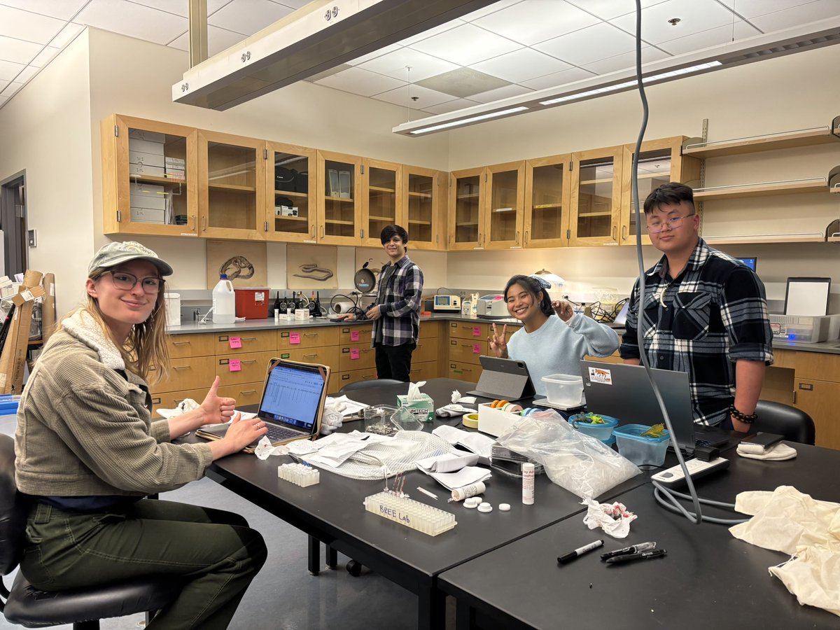 Bree Putman 🐍🦎🏘🔥 tweet media