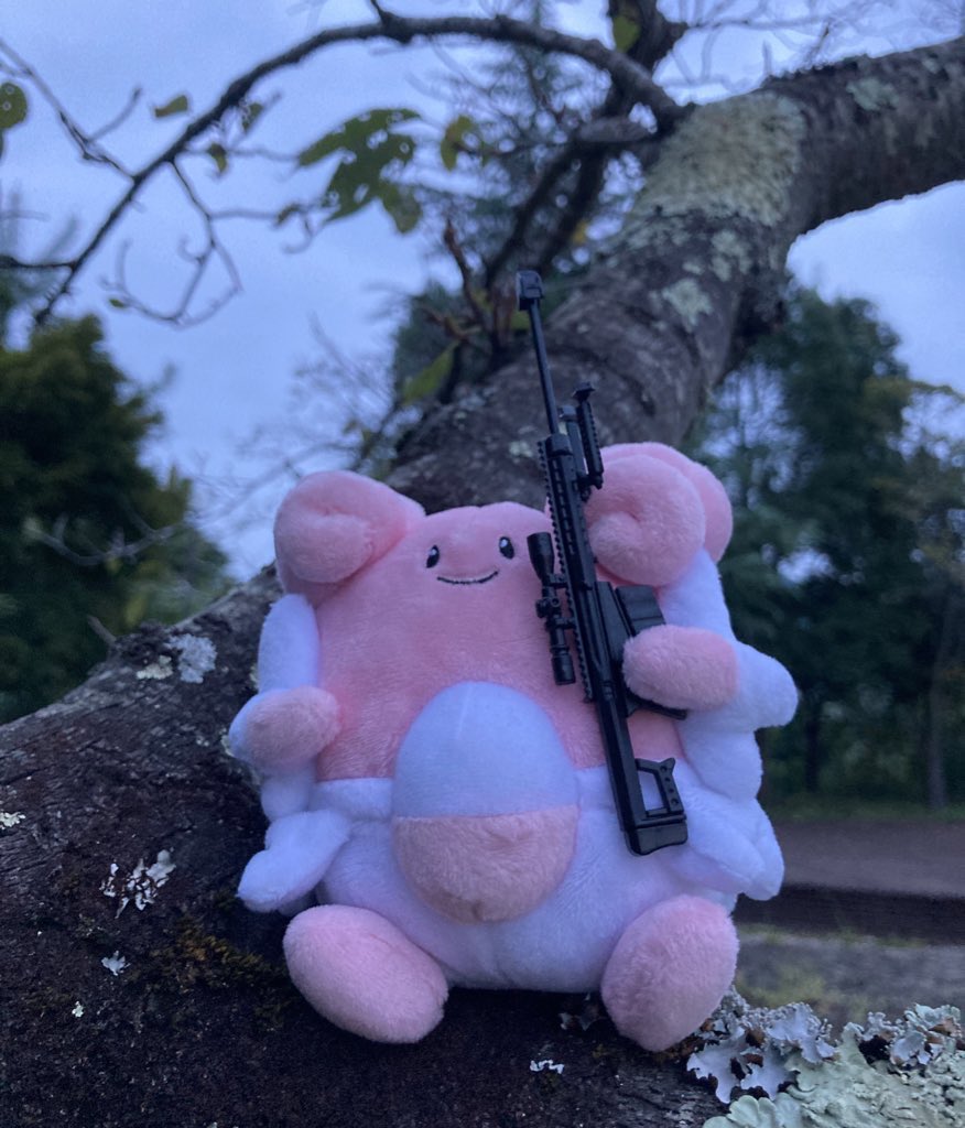 #ポケぬいスナイパー部