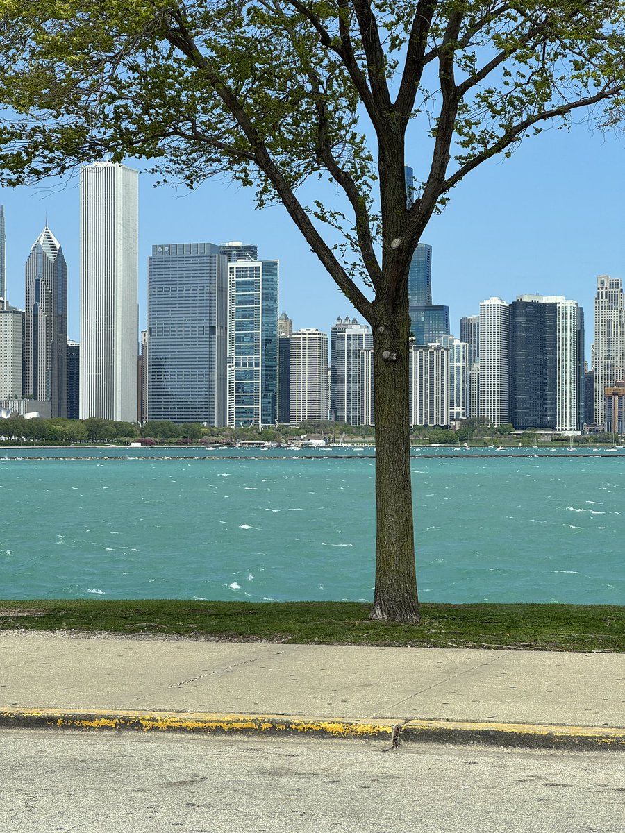 MarlinEstrella2's tweet image. Mis hijos están enamorados de Chicago, uno de ellos expresó con dolor: ¿porque Boston no se puede ver así, antes era así, que pasó, que pasó, que pasó? #Chicago