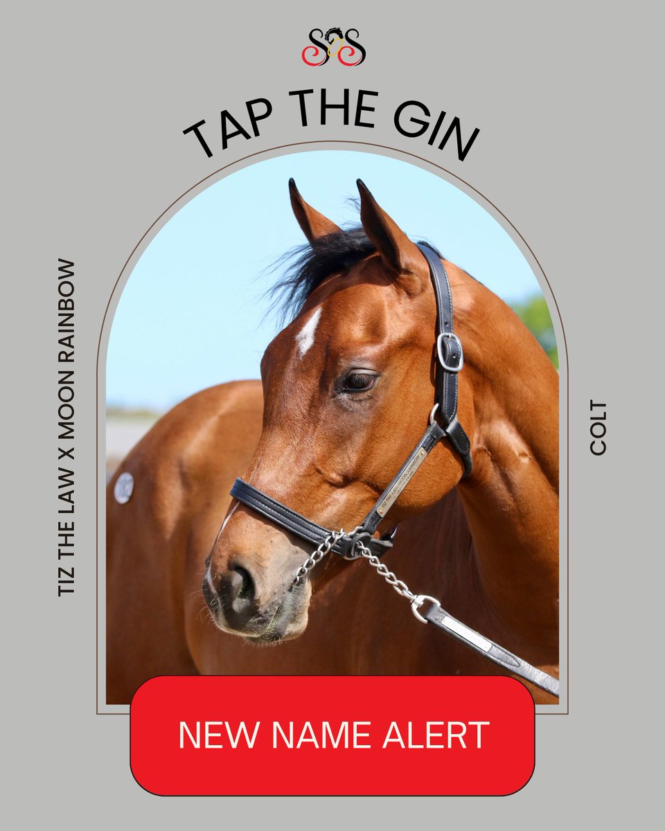 SoSRacingStable's tweet photo. Name announcement(X4!)🌟🌟🌟🌟
We’re thrilled to announce the names of some of our newest #SoSStable members.
We also want to shoutout my cousin Miguel, his wife Eve, and their daughter Leah who named Tap the Gin! We love that they could be part of the process. https://t.co/ty9QhdO1nv