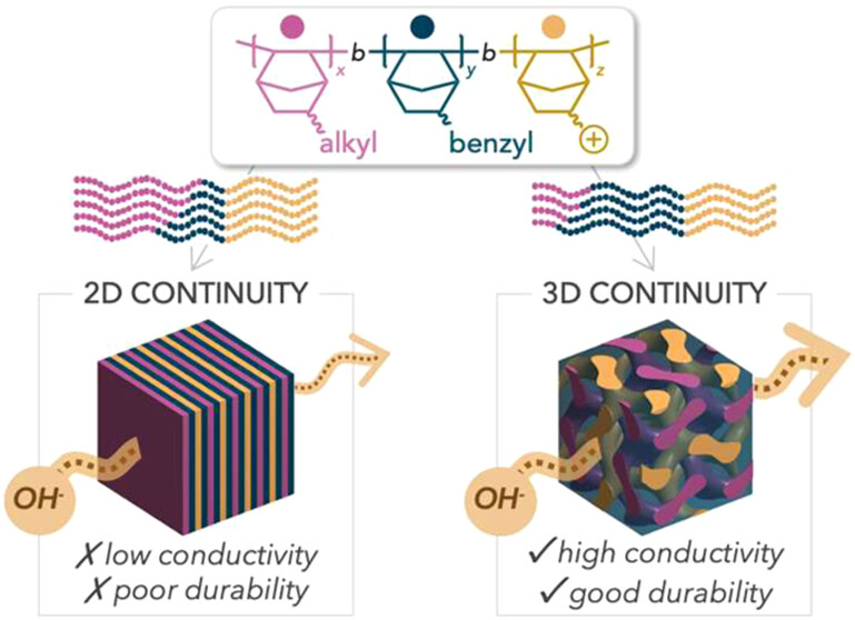 BioPACIFIC MIP (@biopacificmip) on Twitter photo 📢 New from BioPACIFIC MIP users! Researchers at <a href="/Cornell/">Cornell University</a> & <a href="/CarnegieMellon/">Carnegie Mellon University</a> report in JACS how 3D morphology boosts conductivity in AEMs for clean energy. SAXS data from BioPACIFIC MIP made it possible! Published <a href="/J_A_C_S/">J. Am. Chem. Soc.</a> 📢 New from BioPACIFIC MIP users! Researchers at <a href="/Cornell/">Cornell University</a> & <a href="/CarnegieMellon/">Carnegie Mellon University</a> report in JACS how 3D morphology boosts conductivity in AEMs for clean energy. SAXS data from BioPACIFIC MIP made it possible! Published <a href="/J_A_C_S/">J. Am. Chem. Soc.</a>