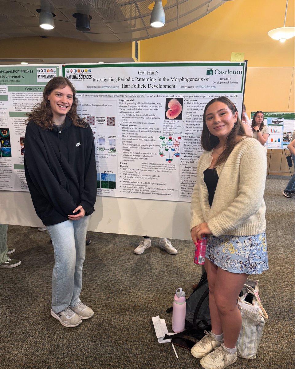 Today, Junior Emily Adams and her partner Sophia presented their research at the Jeffords Sciences Fair! They investigated Periodic Patterning in the Morphogenesis of Hair Follicle Development. Great job ladies and so proud of you Grem! 👏🏼 

#NaturalSciences #WeAreCastleton
