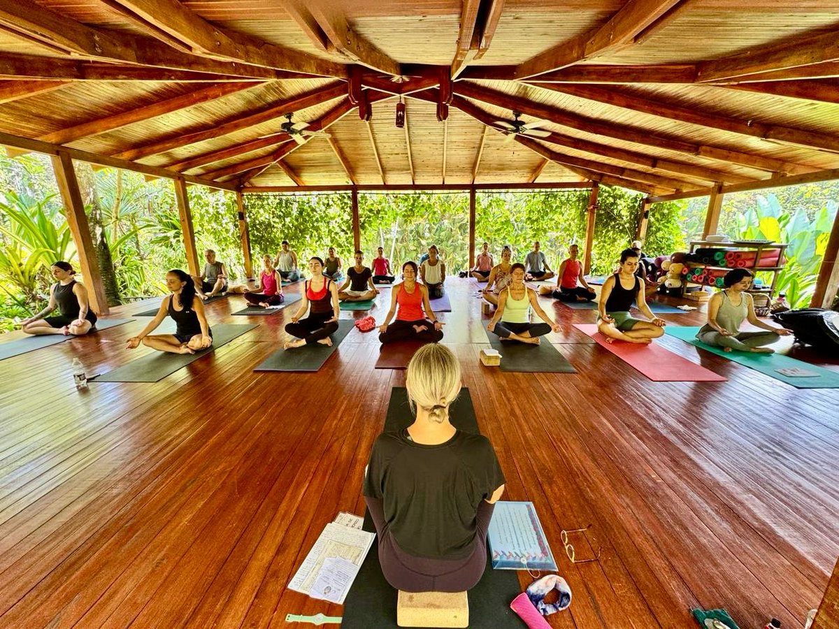 Yoga at Macaw Lodge - mailchi.mp/macawlodge/mac…
