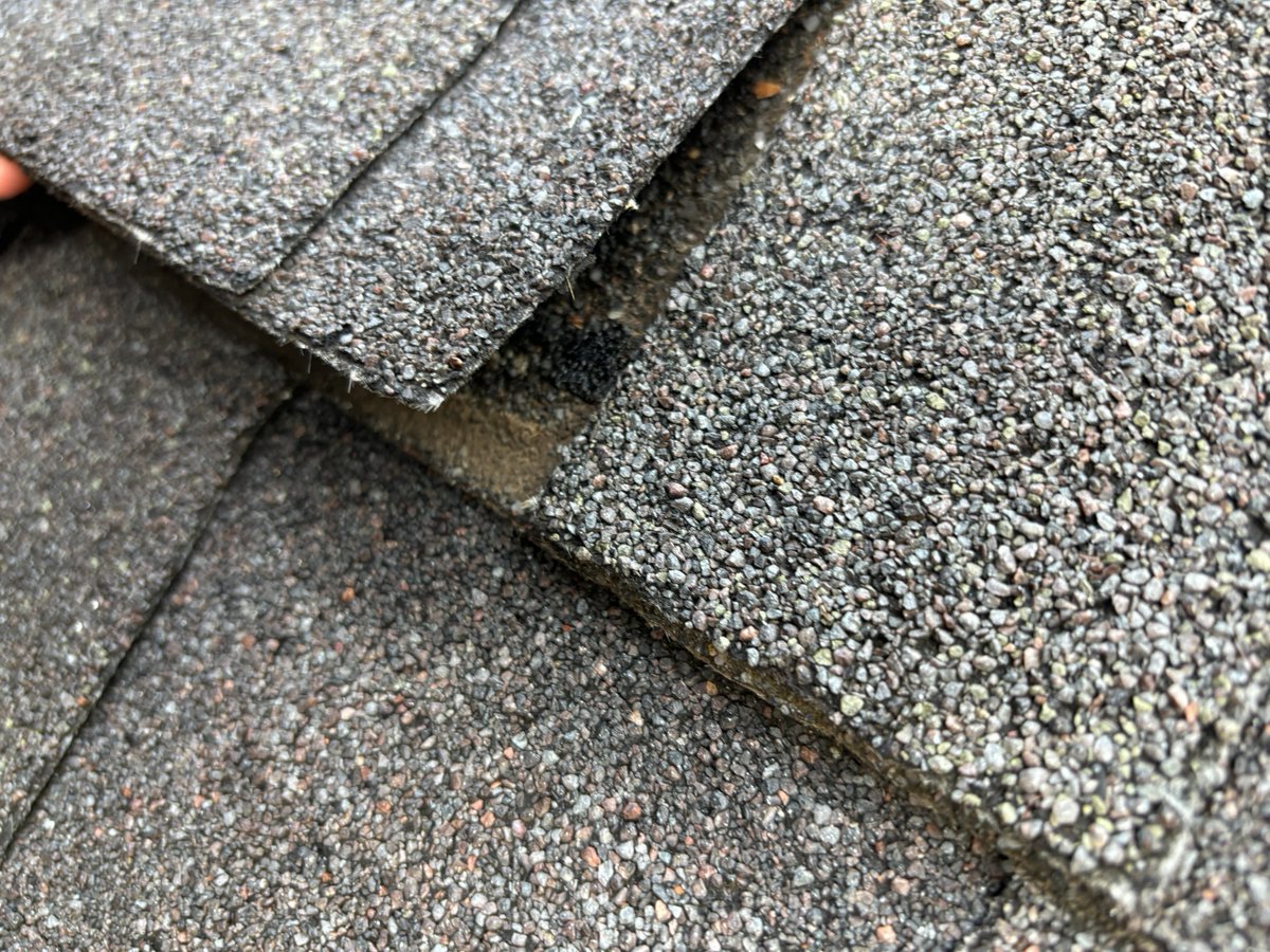 TetraltoRoof's tweet photo. That tiny lift in your shingle? It’s how leaks, mold, and rot start.
Don’t wait for heavy rain to find the problem.
📞 (281) 895-1213 | https://t.co/QmhMgYeoF6
#RoofTips #StormReady #RoofCheck #ShingleDamage #TetraltoRoofing https://t.co/CsqqM9DX4G