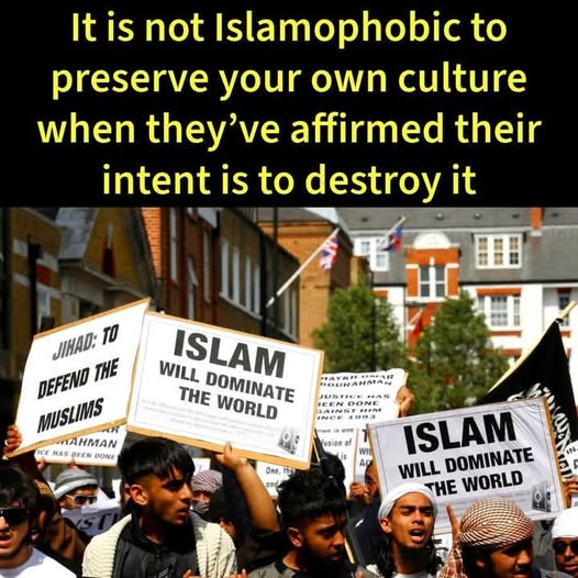 I personally don't give a flying hoot if it is as islamaphobia doesn't mean a damn thing to me in my country i will help fight for my beautiful UK