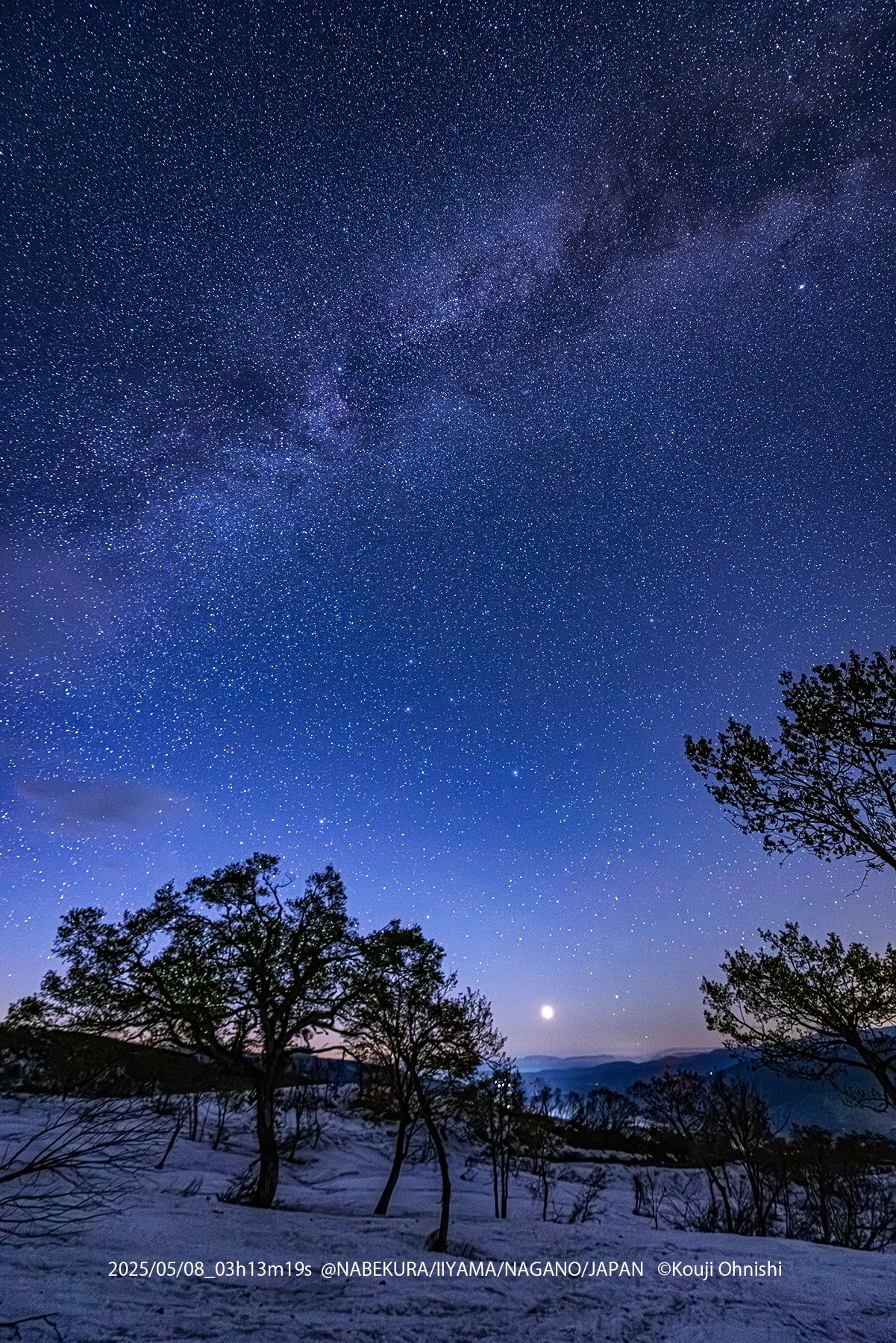 睡蓮の原野　星景ポスター　4枚　日 睡蓮の原野 星景ポスター 4枚 日