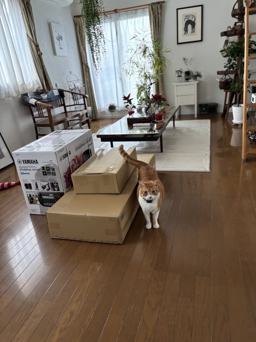 forest_bicycle's tweet photo. #企業公式相互フォロー
おはようございます
株式会社フォレストです😸
今日の #開封の儀
ニャンコブラザーズの入念なチェックが入ります
#ヤマハ #STAGEPAS 400BT
ワイヤレスマイクセット
この商品を #アマゾン で購入して
詐欺に遭った話がネットに出てたので
安心の #サウンドハウス で購入 https://t.co/SNRhyOThkp