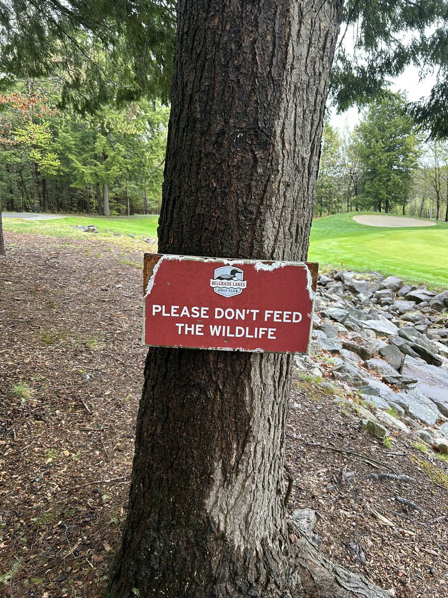 Caught a squirrel eating this sign. I guess he doesn’t like the message!