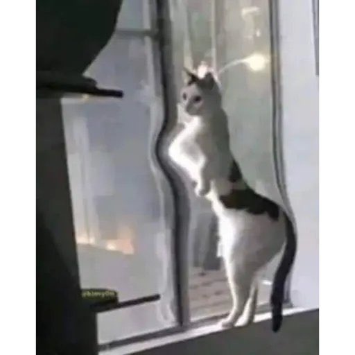 Andrew ★ tweet media