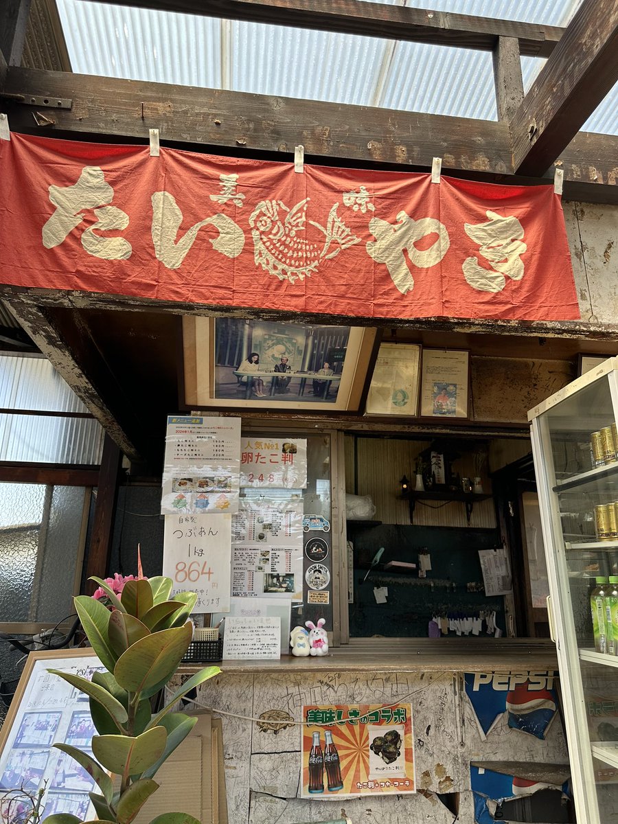 NvanCamper's tweet photo. 小腹が空いてきたので卵たこ判ミニとたこ焼きを😊
新しくたこ判のミニシリーズができていたので
そちらを大きさもちょうど良く美味しく頂きました🥰
商品の写真撮り忘れました😓 https://t.co/eVepZwZTqK