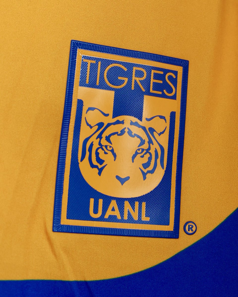 Club Tigres 🐯 tweet media