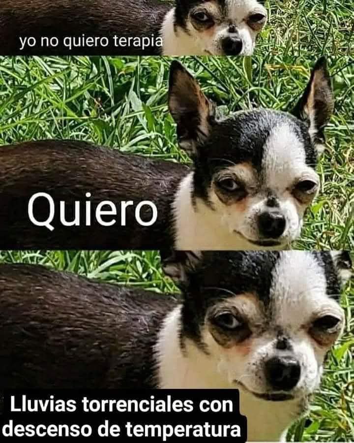 Nasty Poet (@nxstypxet) on Twitter photo 