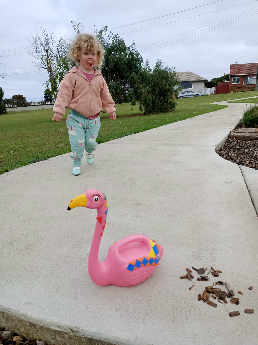 Bundogs's tweet photo. Happy 🦩 Friday from the park with a special guest appearance by Miss Bea 😜 #whataunit #flamingofriday #flamingofetish https://t.co/eGTLZcDmKt