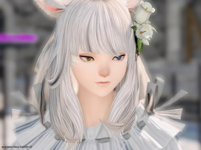 見てこの目つきの悪さ…可愛すぎ〜… #おはミコ #鼻黒ッテ