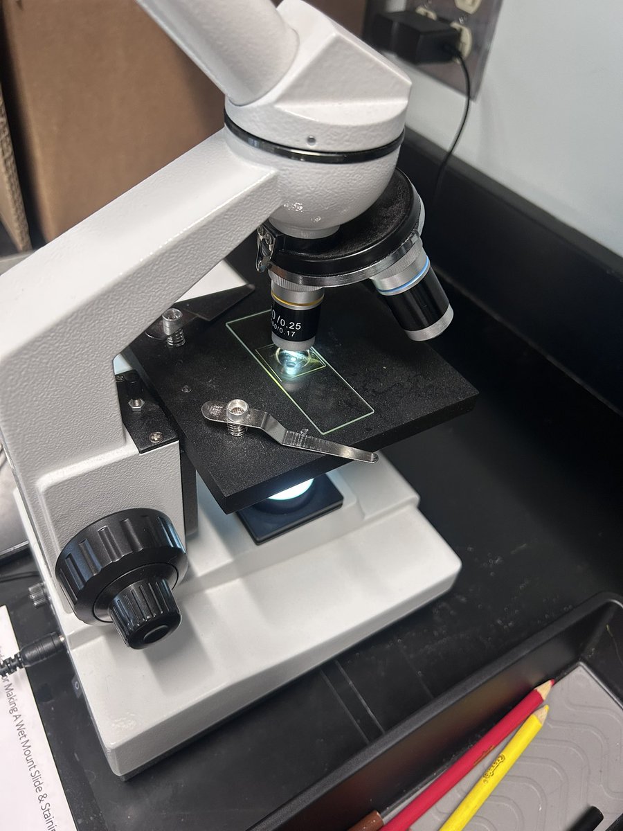 Day 2 of investigating different types of plant cells. Great conversations and lots of questions that we will hopefully get to answer! <a href="/LabAids/">Lab Aids</a> <a href="/SEPUP_UCB/">SEPUP</a>