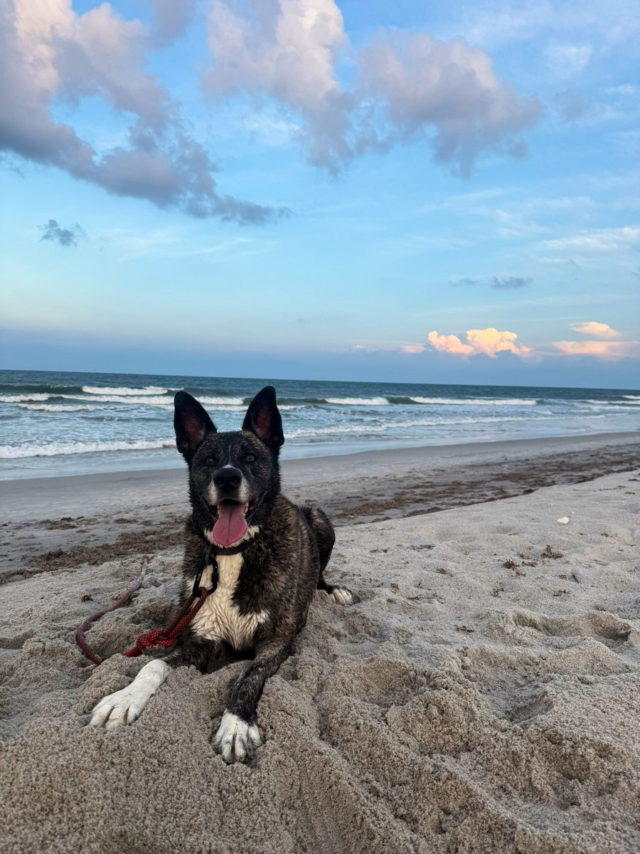 Matthew Buckley (@coachbuckley_) on Twitter photo 