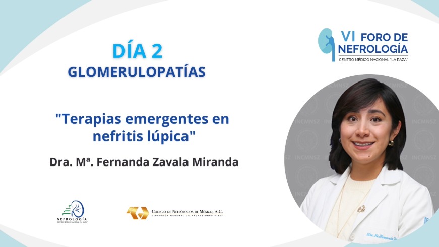 2° ponencia del día a cargo de la Dra. Maria Fernanda Zavala Miranda. "Terapias emergentes en nefritis lúpica"
<a href="/Mafer_ZavalaM/">MaFer Zavala</a> <a href="/glomerulovers/">Glomerulovers</a> <a href="/NefroINCMNSZ/">Departamento de Nefrología y Metabolismo Mineral</a>
#Nefrologia #6ForodeNefrologia #CMNLaRaza  #ColegiodeNefrología