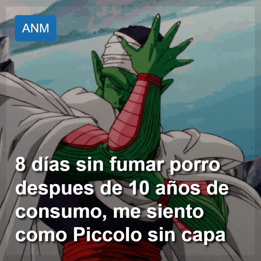 Animevox tweet media