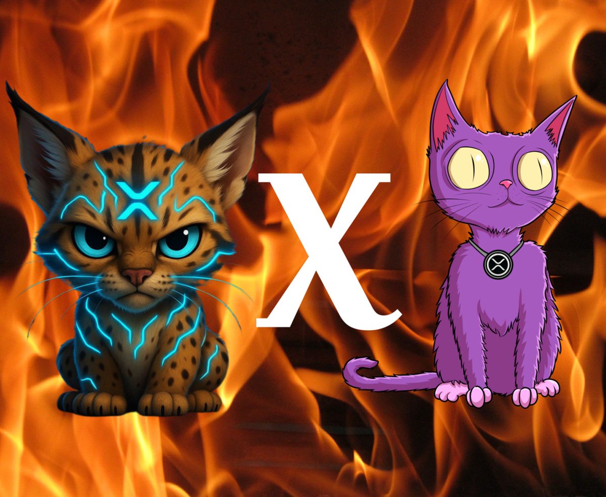 FurieTheCat's tweet photo. @lynx_xrpl @itsFoxCrypto https://t.co/rUuSkG4nBh