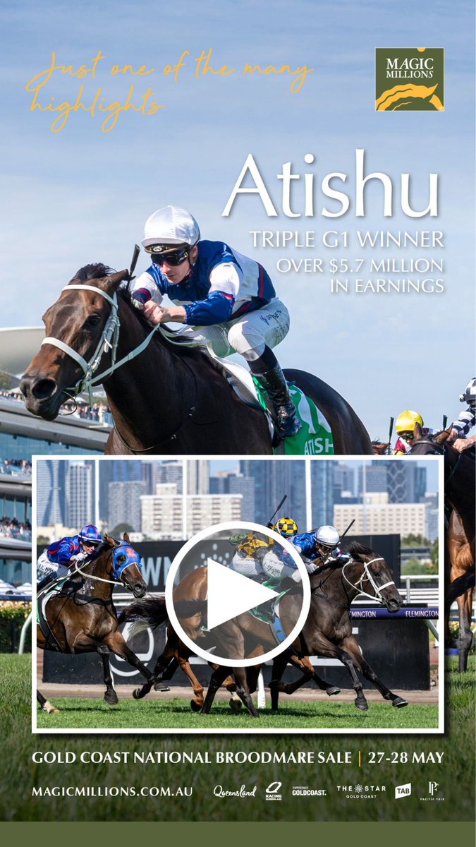 TTR AusNZ (@ttrausnz) on Twitter photo 🟡 Just one of the many highlights
Atishu
Triple G1 winner 🏆
Over $5.7M in earnings 💰
Gold Coast National Broodmare Sale
🗓️ 27-28 May
<a href="/mmsnippets/">Magic Millions</a>
📹 magicmillions.com.au/vplayer/?&yt=6… 🟡 Just one of the many highlights
Atishu
Triple G1 winner 🏆
Over $5.7M in earnings 💰
Gold Coast National Broodmare Sale
🗓️ 27-28 May
<a href="/mmsnippets/">Magic Millions</a>
📹 magicmillions.com.au/vplayer/?&yt=6…