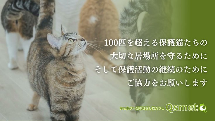 クラウドファンディングに挑戦させていただきます。

先ほど公開いたしました。

私に活動を続けるチャンスを下さい。

ご無理のない範囲でお力添えよろしくお願いいたします

readyfor.jp/projects/Qsmet…

#クラウドファンディング　#READYFOR