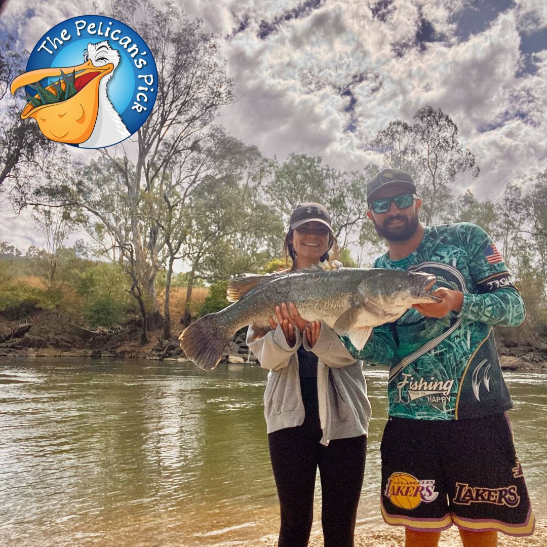 This week’s Pelican’s Pick comes from Baylee and Josh who were out at their favourite spot on the Goulburn River. Using chicken bouncing along the bottom beside their favourite snag, Baylee managed to catch this ripper! This 87cm cod is her new PB. 
vfa.vic.gov.au/pelicanspick