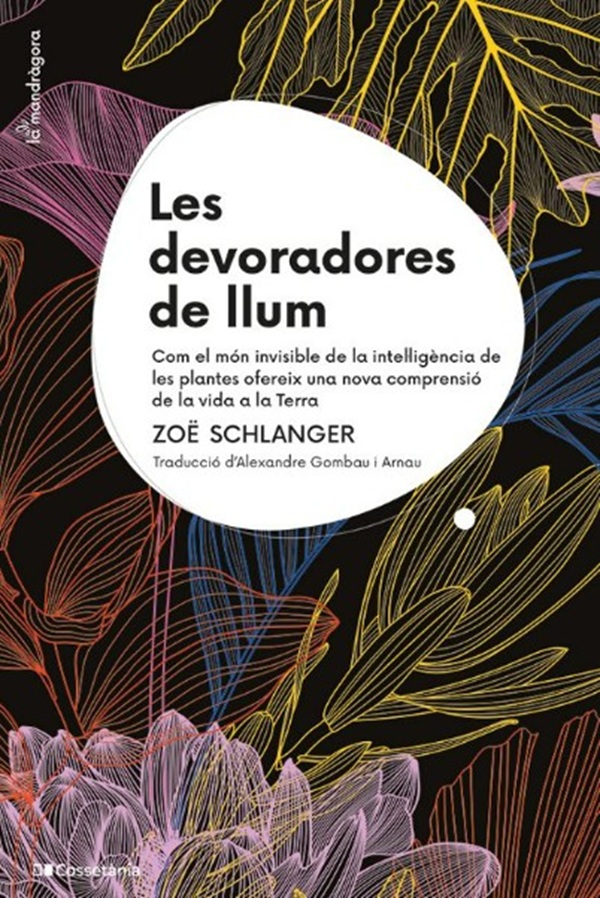 BIBLIOTECA CIÈNCIA 📚🆕
Les devoradores de llum (Zoë Schlanger)
lafinestralectora.cat/les-devoradore…
vía <a href="/Cossetania/">Cossetània Edicions</a> 
#Botànica