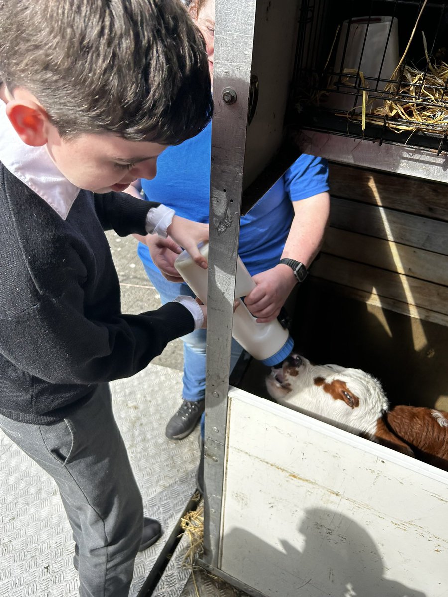 Amy Doherty tweet media