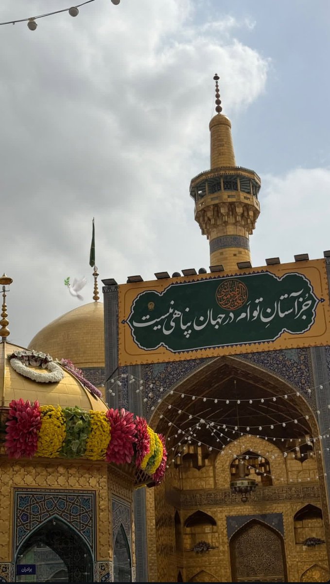 "صَلّي اللهُ عَلَيــكَ يــــاٰ عَلي بنِ مـوسَـــي الـــرِّضا❤"
#جان_ایران