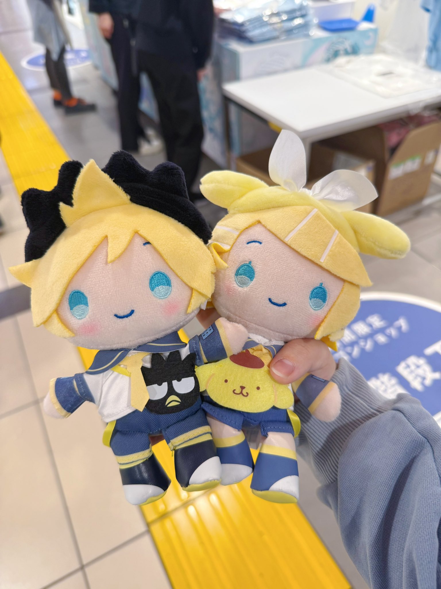 兎星しずか🐰🌟USAGIBOSHI SHIZUKA | サワルナキケン