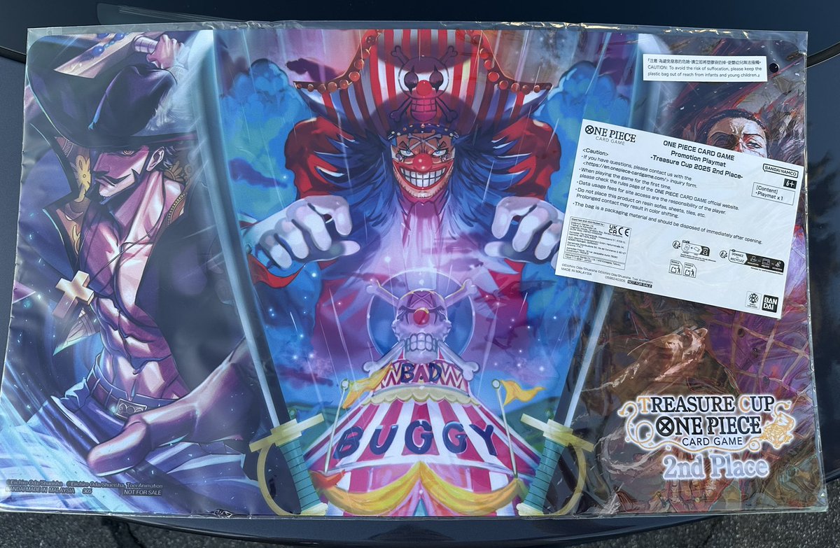 In person photo of the 2025 Treasure Cup 2nd Place Playmat