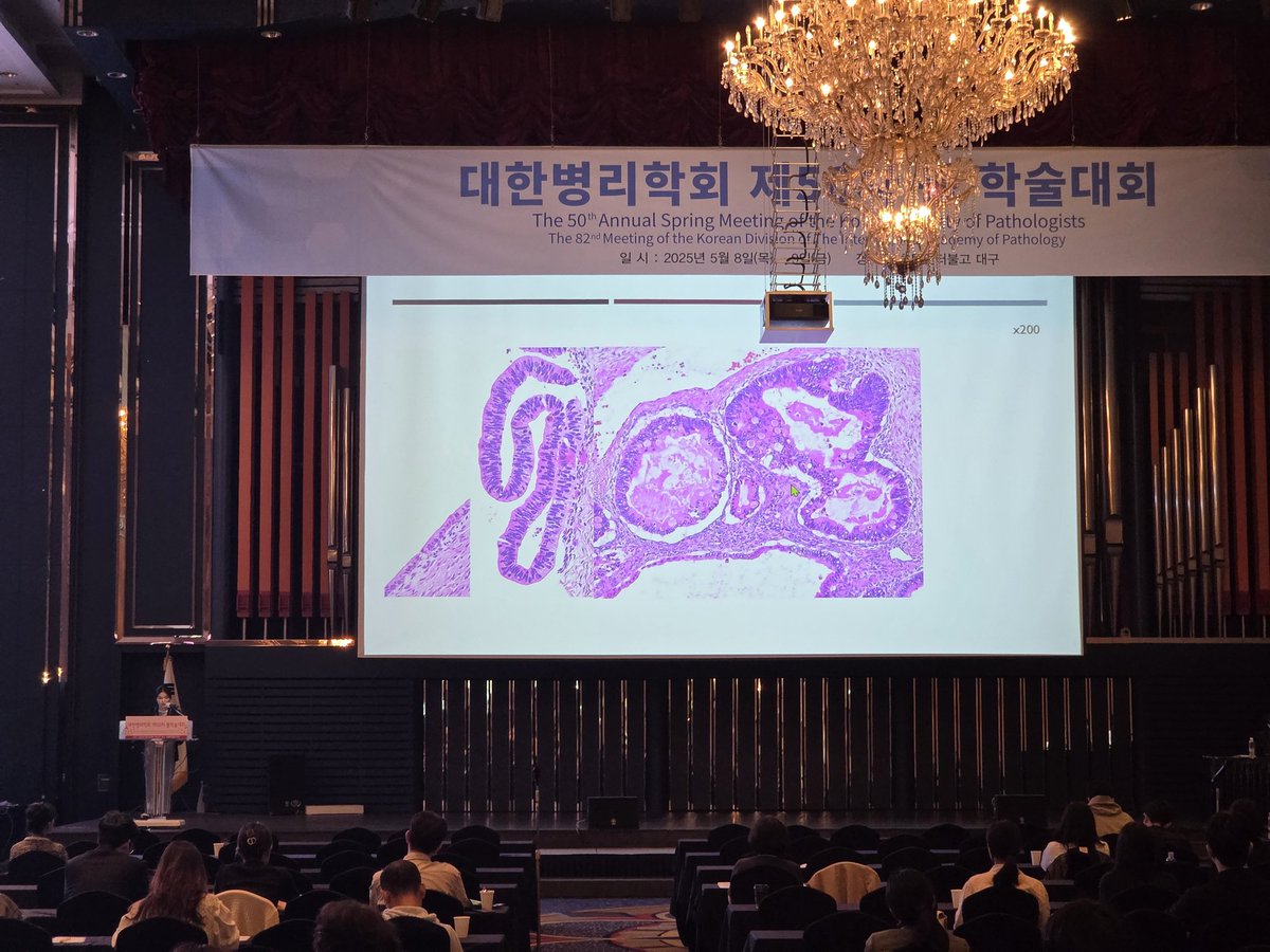 Afternoon Session of the 50th Annual Spring Meeting of KSP. My Interesting Cases by young pathologists and KAMS-KMDF-KSP Joint simposium.