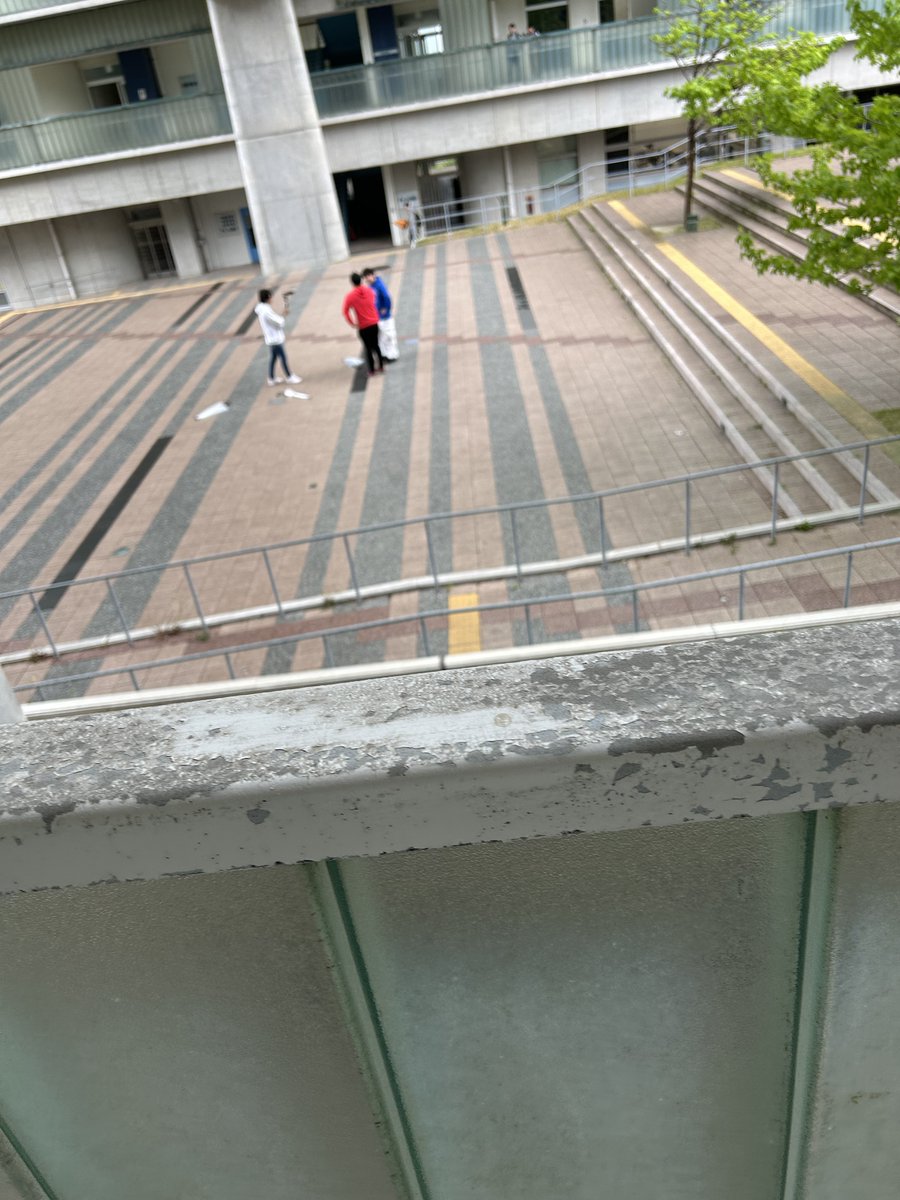 wakatte.tv きたwww