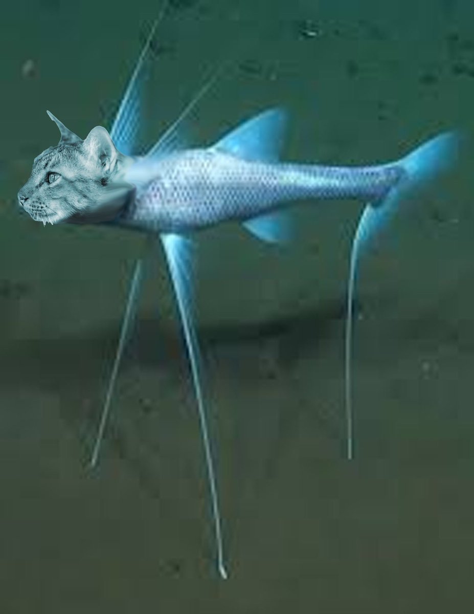 floxschmo tweet media