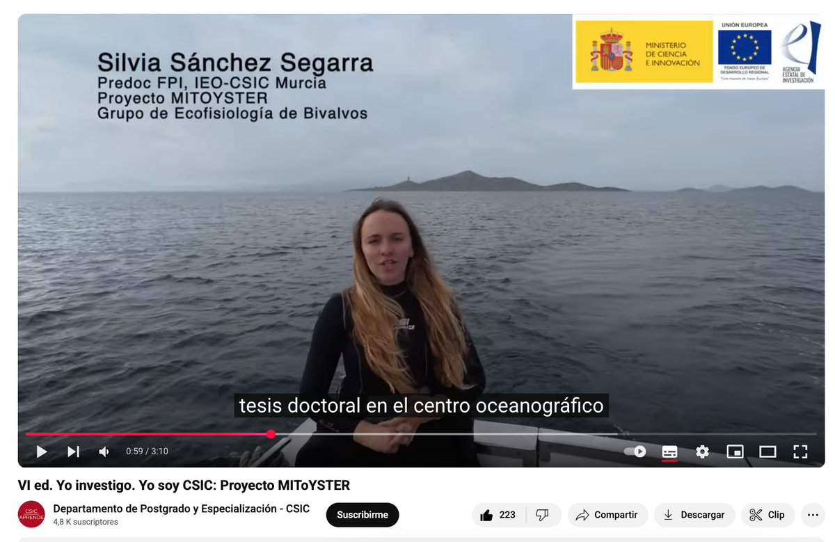 ⚓️¿Ayudamos a Silvia a conseguir su estancia de investigación para el #doctorado en #Canadá?

Su proyecto es sobre la recuperación de la ostra plana del Mar Menor en #Murcia.

🎥Solo tienes que ver su vídeo 👉youtube.com/watch?v=YuA_Ah…

cc <a href="/CSIC/">CSIC</a> <a href="/SSSilvia97/">Silvia</a> #YosoyCSIC