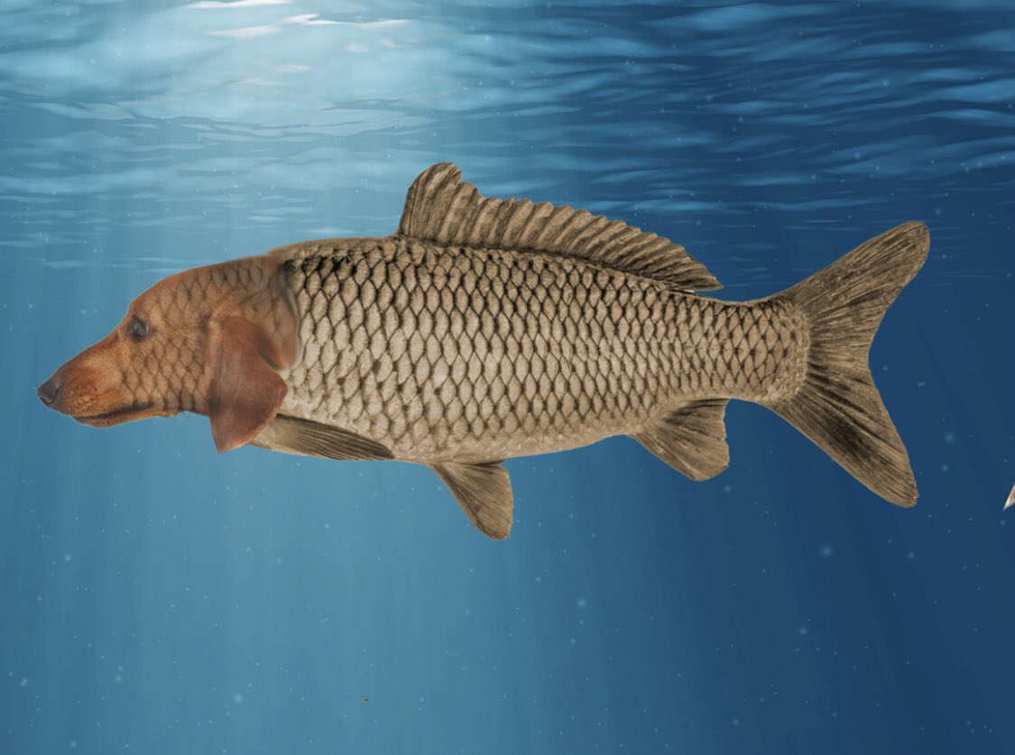 floxschmo tweet media