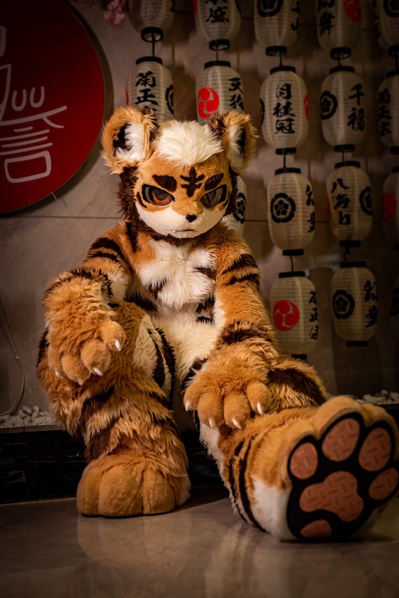 #FurryFriday 怎么就要上班了！