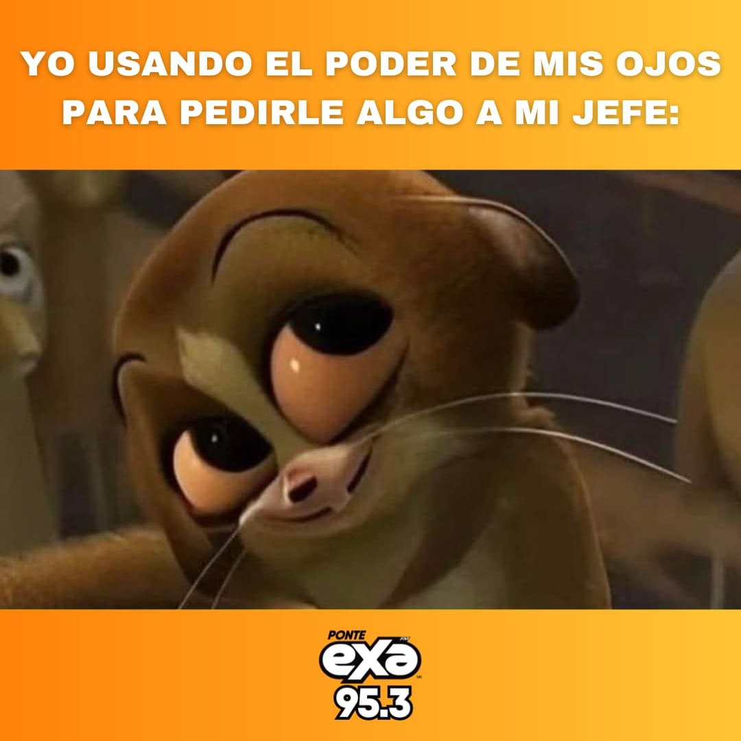 exafm_tampico's tweet image. 🤣🤨
•
•
•
#exafm #exameme
