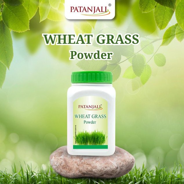 ayurved_nepal's tweet photo. Wheatgrass is green colour fine powder. It shall be free from mustiness, mould, living, and dead insccts fragments, rodent, contamination added colours. It shall free from objectionable smell. #Wheatgrass #Wheatgrasspowder https://t.co/fdX4KOmwoq