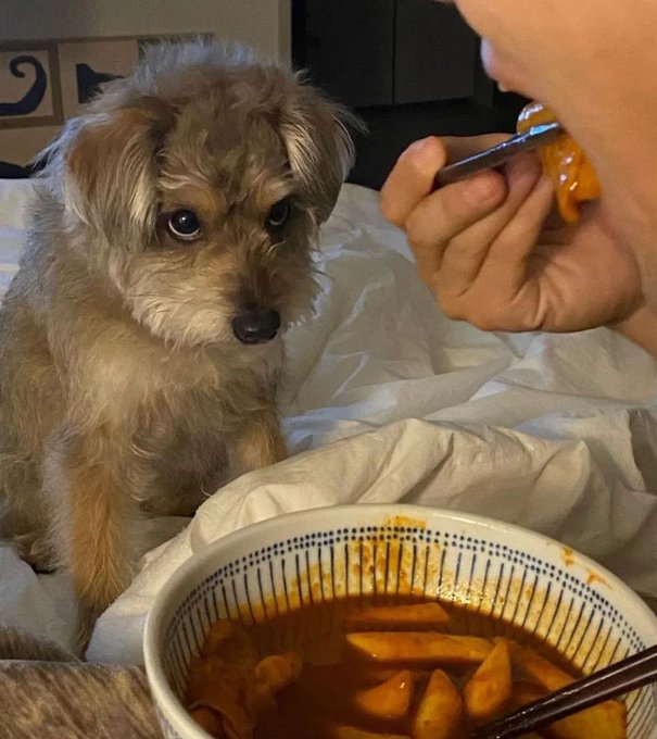 危険予知bot tweet media