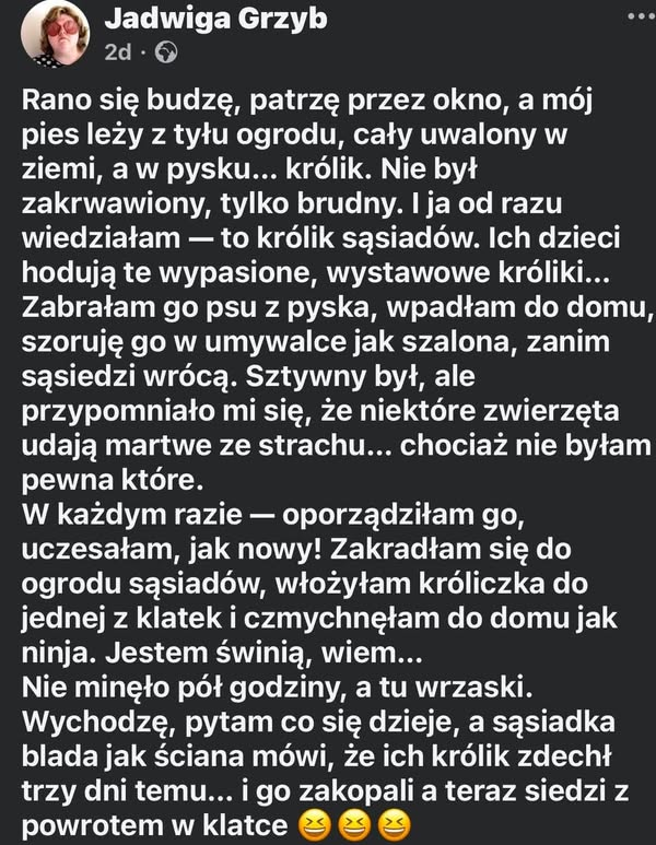 MagnoliaNowak's tweet photo. https://t.co/Gdxod8MeiD