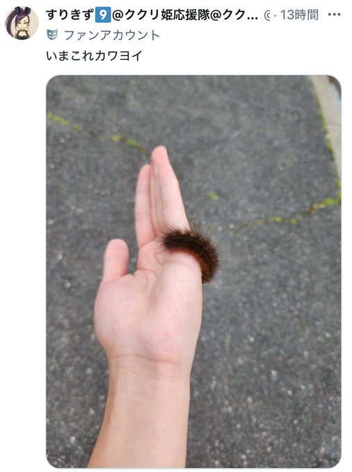 危険予知bot tweet media