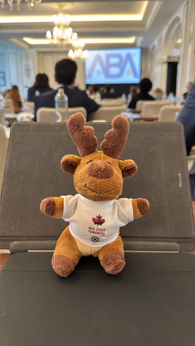 J_R_MUC's tweet photo. Maple intruding on the @Abaesq International Employment Law meeting in Madrid. 

For more Maple, also check Instagram and LinkedIn. 

@IBAevents #ibatoronto #Ibatoronto2025 https://t.co/xPoPAfGp88